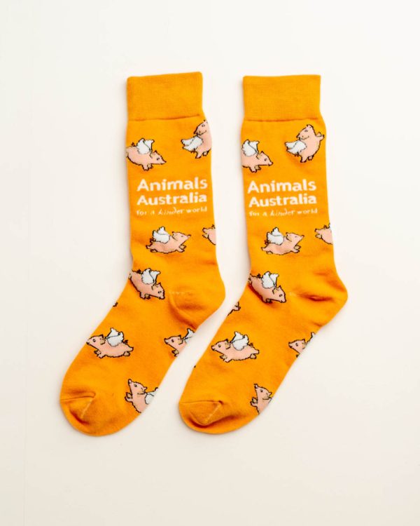 Orange socks with flying pigs over them and the AA logo in white