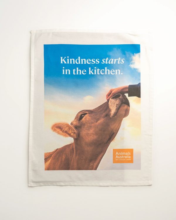 Tea towel with an image of a hand patting a cow's nose, orange AA logo and the words 'Kindness starts in the kitchen.'